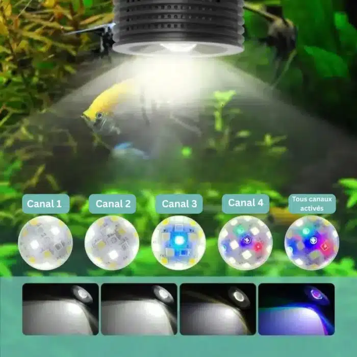 eclairage-led-aquarium-plante-poissons