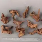 meilleur-bois-flottant-aquarium-paysager