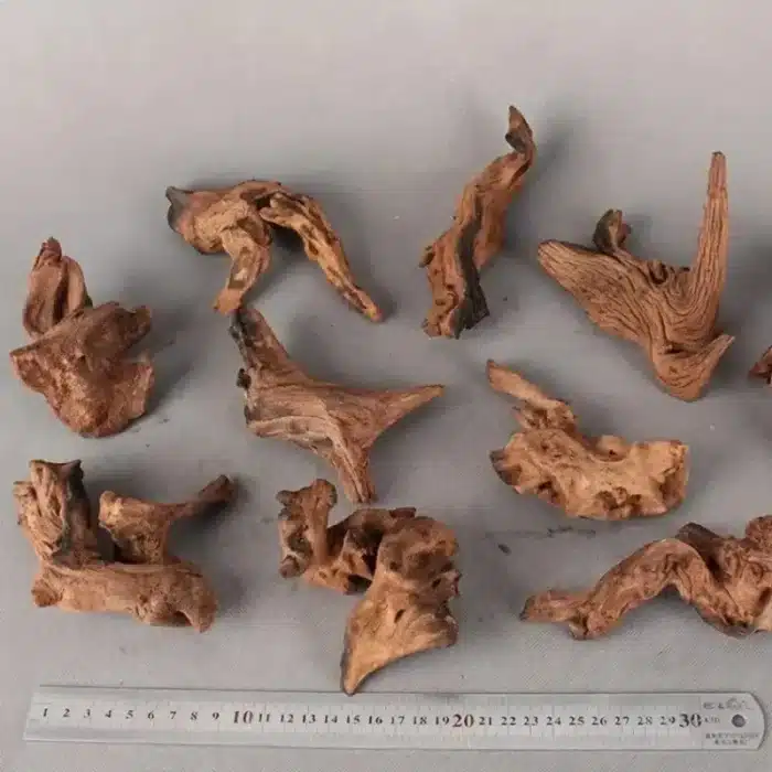 meilleur-bois-flottant-aquarium-paysager