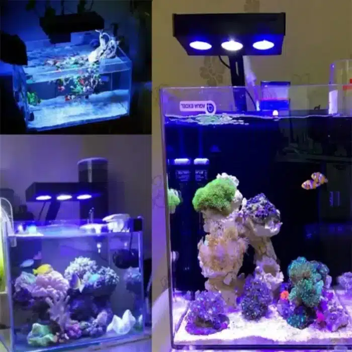 meilleur-eclairage-aquarium-eau-de-mer-led-recifal