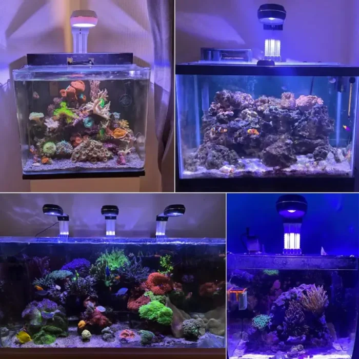 meilleur-lampe-aquarium-recifal-60w