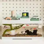 Mini Aquarium de Bureau 8L avec Pompe USB et Éclairage LED