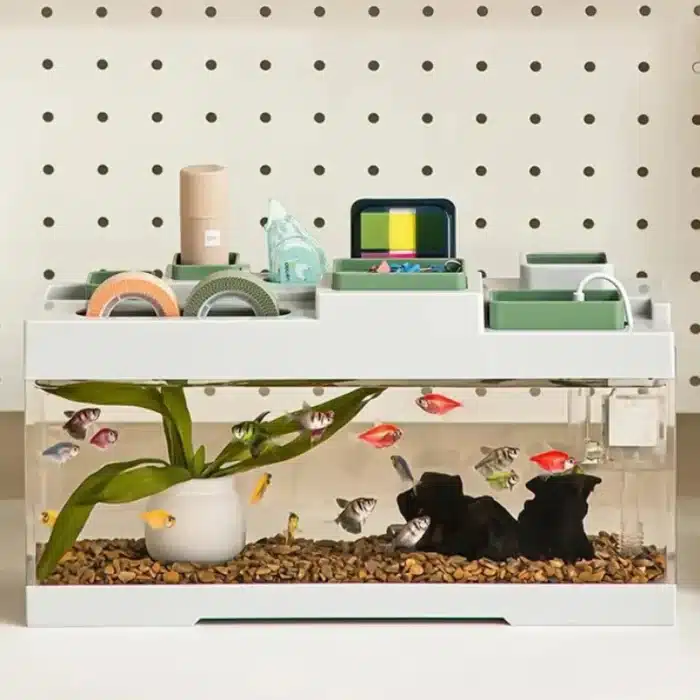 Mini Aquarium de Bureau 8L avec Pompe USB et Éclairage LED