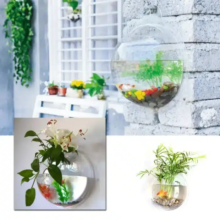 mini-aquarium-mural-rond-2l