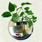 mini-aquarium-mural-rond-2l-en-plastique