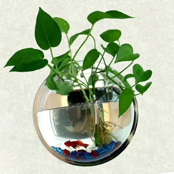 mini-aquarium-mural-rond-2l-en-plastique