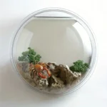 mini-aquarium-mural-rond-2l-un-crabe