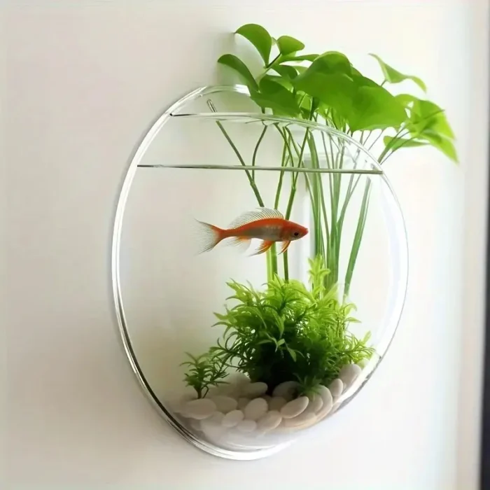 mini-aquarium-mural-rond-2l-un-poisson-rouge