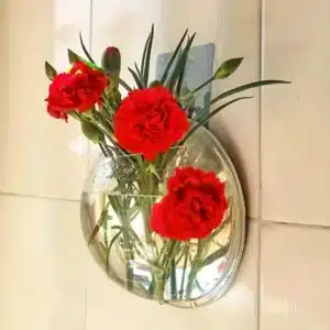 mini-aquarium-rond-mural-1l