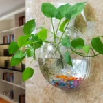 mini-aquarium-rond-mural-1l-pour-un-betta