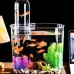 Nano Aquarium 10L avec Tube d’Observation en plastique pour poissons