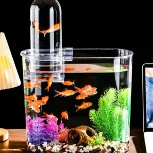Nano Aquarium 10L avec Tube d’Observation en plastique pour poissons