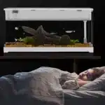 Nano Aquarium 10L Poisson avec Filtre