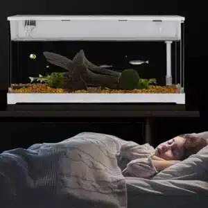 Nano Aquarium 10L Poisson avec Filtre