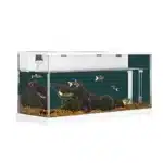 nano-aquarium-10l-poisson-combattant