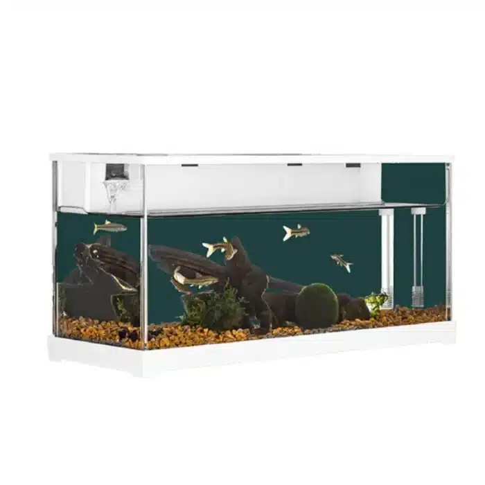 nano-aquarium-10l-poisson-combattant