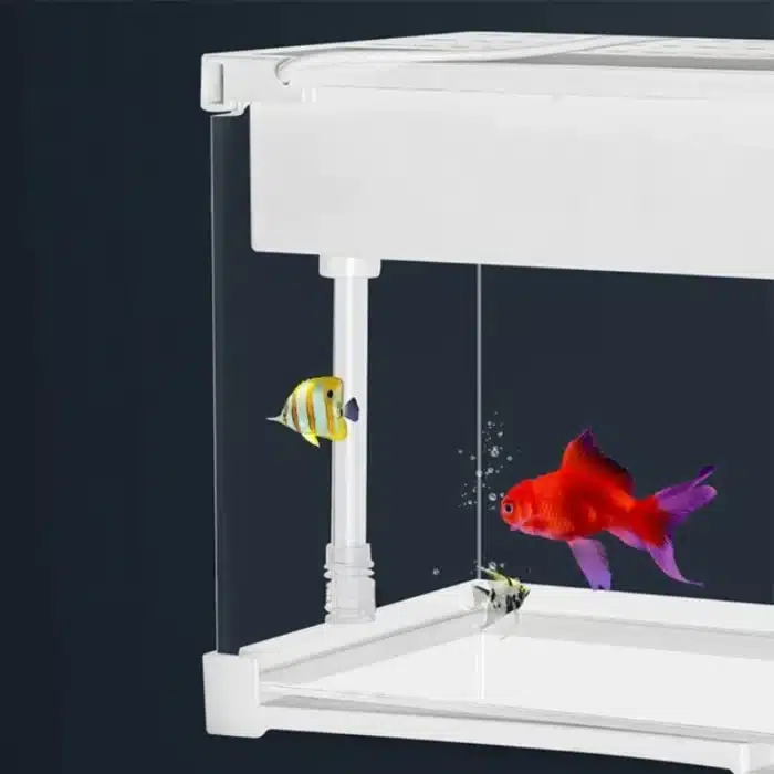 nano-aquarium-10l-poisson-rouge