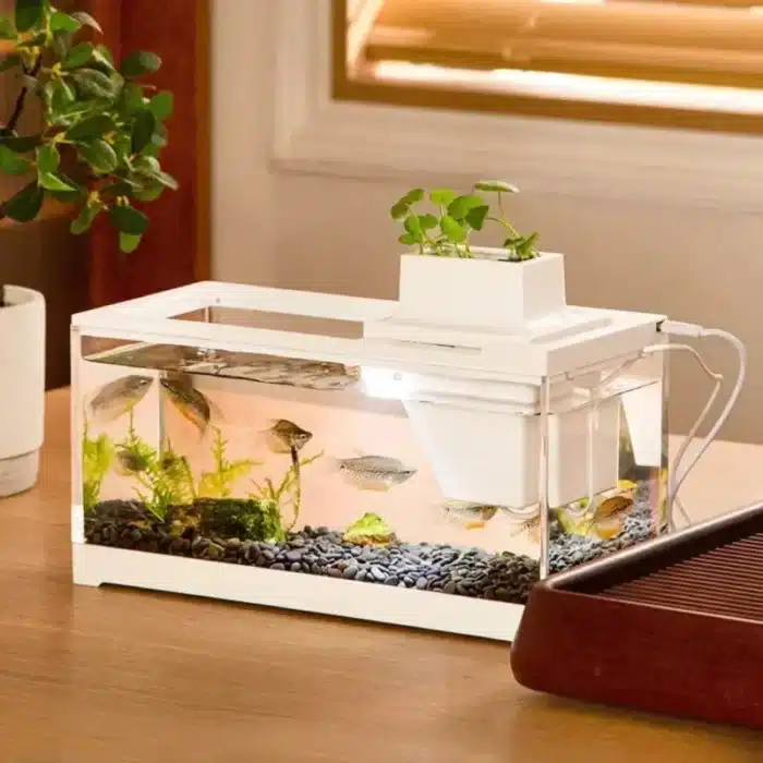 nano-aquarium-5l-avec-eclairage