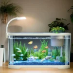 petit-aquarium-10l-avec-pompe-blanc-avec-couvercle