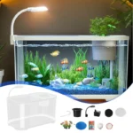 petit-aquarium-10l-avec-pompe-blanc-complet