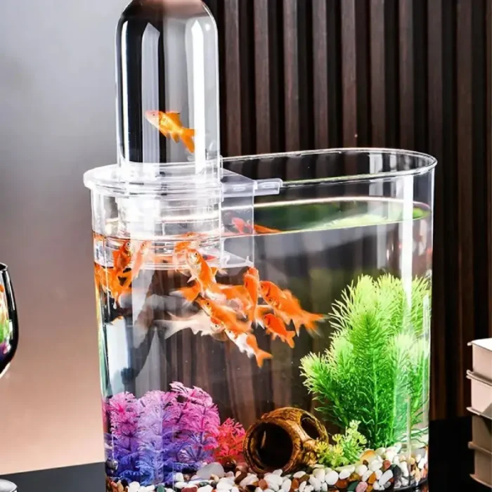 petit-aquarium-10l-en-plastique-poissons