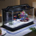 petit-aquarium-17l-avec-filtration-et-lumiere