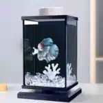 petit-aquarium-3l-pour-un-betta-noir