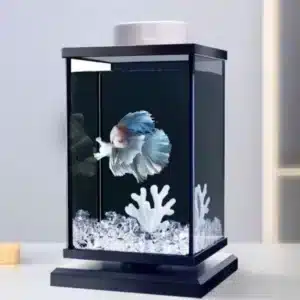 petit-aquarium-3l-pour-un-betta-noir
