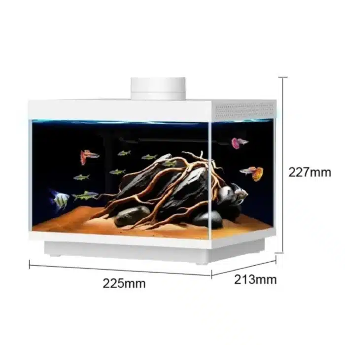petit-aquarium-7l-avec-chauffage-integre