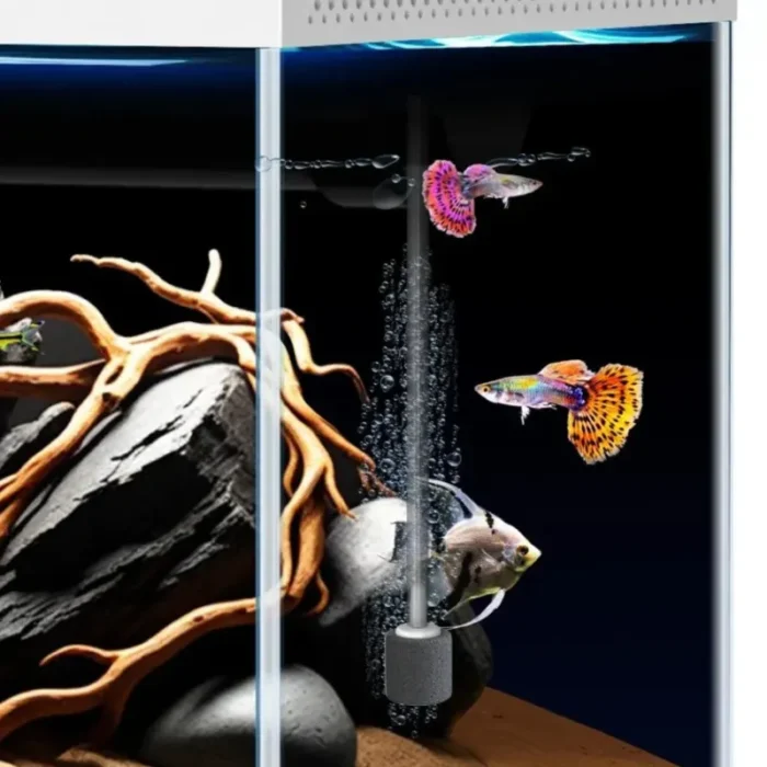 petit-aquarium-avec-pompe-et-chauffage-en-verre