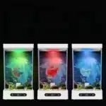 petit-aquarium-betta-3l-avec-eclairage-led