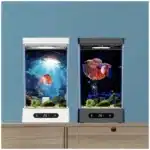 petit-aquarium-betta-3l-chauffage-noir-blanc