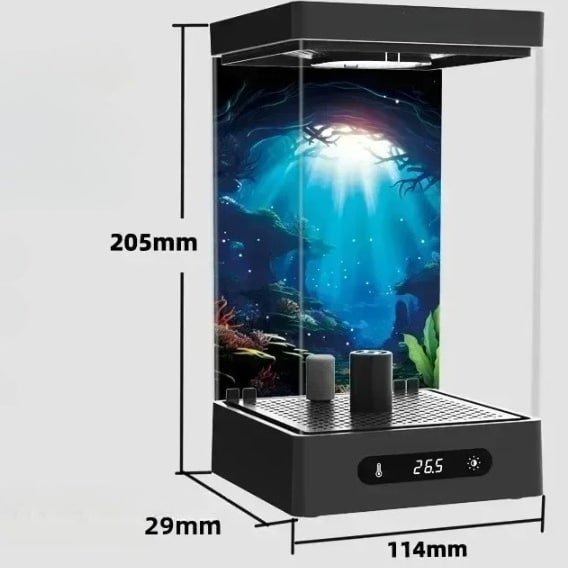 Petit Aquarium Betta de 3L avec Chauffage