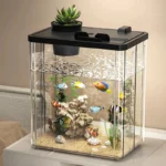 petit-aquarium-complet-10l-betta