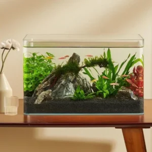 Petit Aquarium en Verre Angle Rond 5L