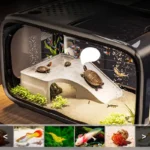 petit-aquarium-pour-tortue-d-eau-20l-et-poissons