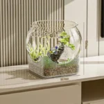 petit-aquarium-rond-20l-poissons