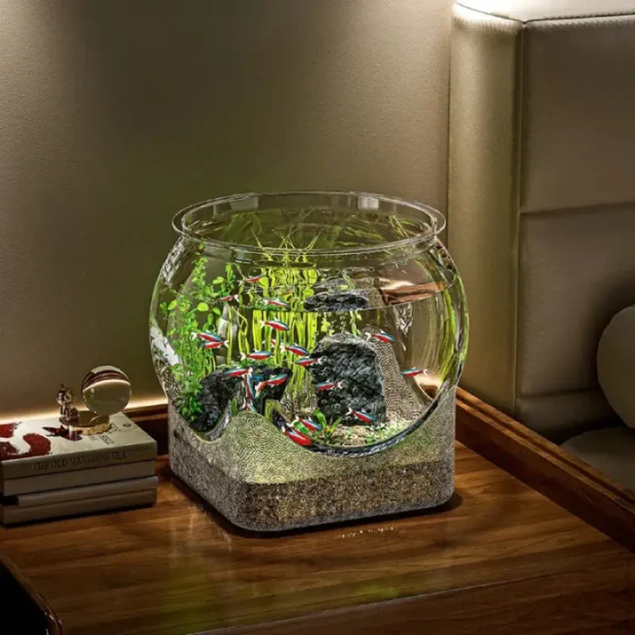 Petit Aquarium Rond 20L sur Base