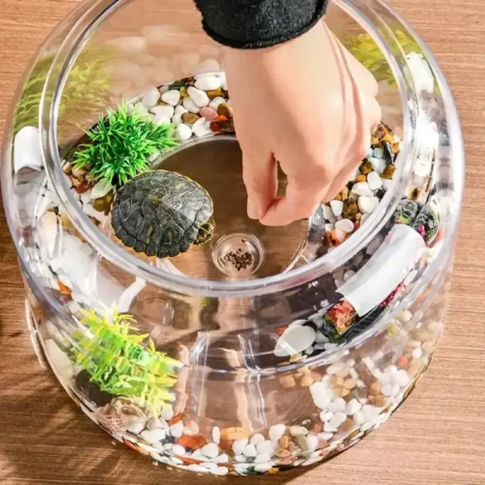 Petit Aquarium pour Tortue 7L Rond