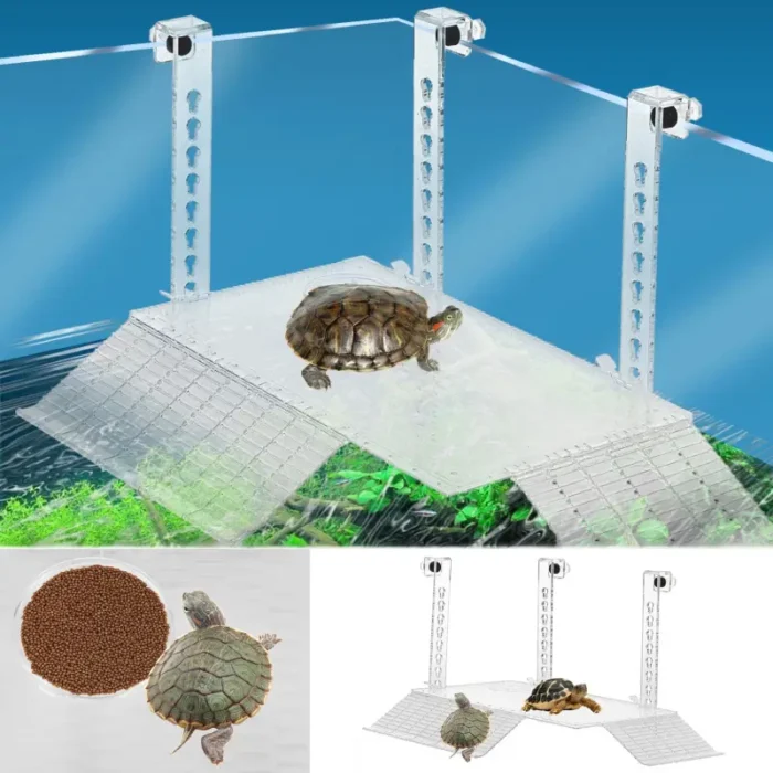 plage-pour-aquarium-tortue-d-eau