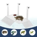 plage-pour-aquarium-tortue-réglable-reptile