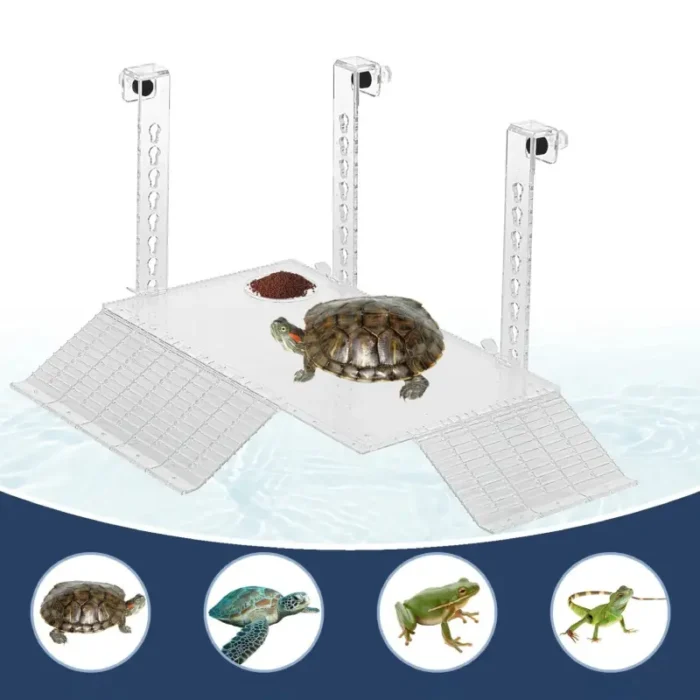 plage-pour-aquarium-tortue-réglable-reptile