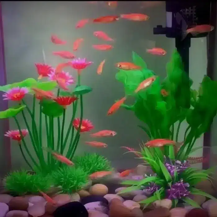 plante-artificiel-pour-aquarium-elegante-rose