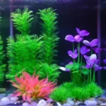plantes-aquarium-artificielles-lot-coloré
