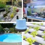pompe-a-eau-aquarium-electrique
