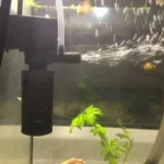 pompe-filtre-interne-aquarium-200l-betta