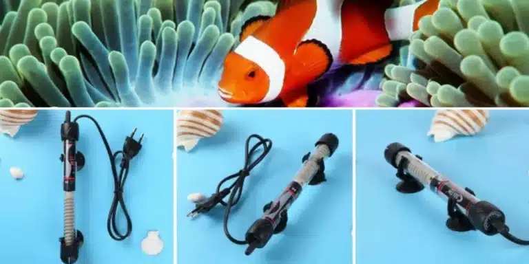 quel-chauffage-pour-aquarium-60l-choisir