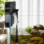 quel-filtre-externe-tortue-aquatique