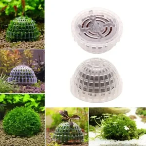 support-mousse-aquarium-bio-dome