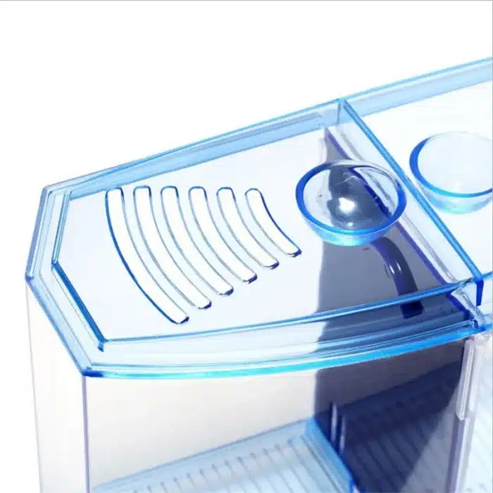 petit aquarium betta à Double Compartiment 3